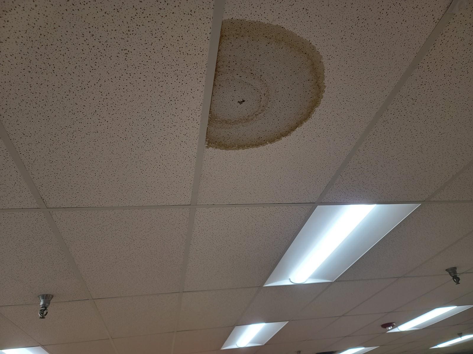 Emergency Roof Repair in Buffalo What to Do After a Storm