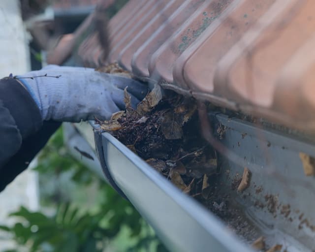 Gutter Cleaning Buffalo